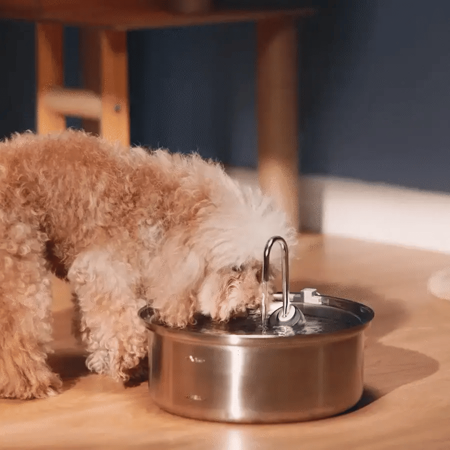 HydraDog™