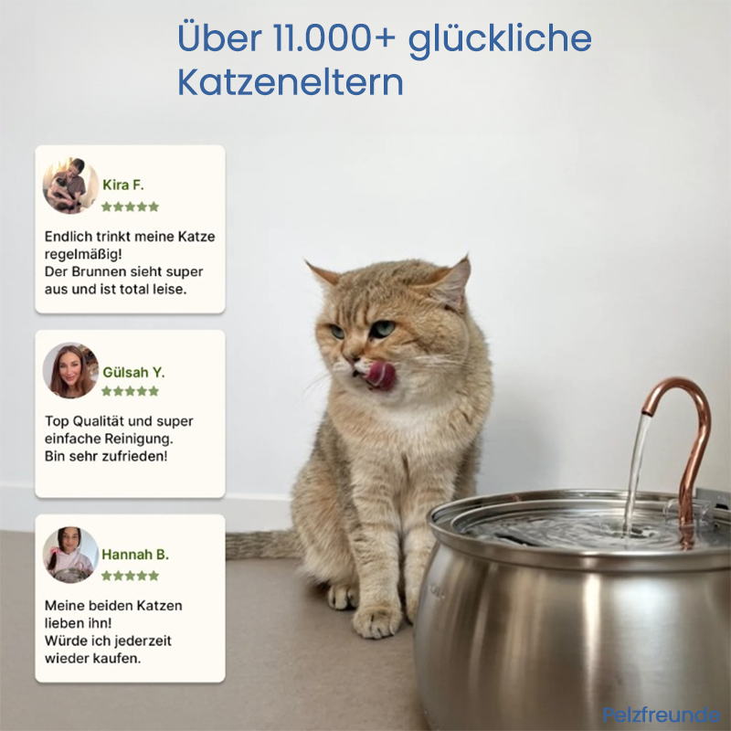 HydraCat™