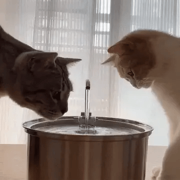 HydraCat™
