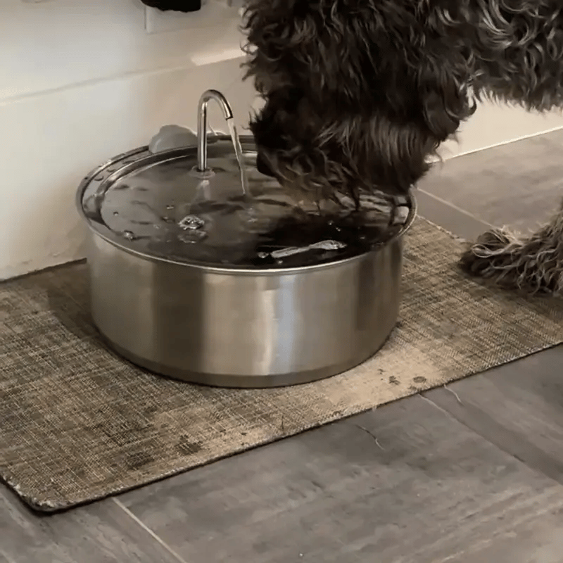 HydraDog™