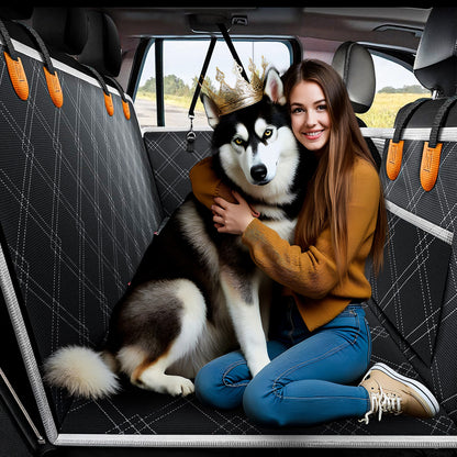 RideSafe Pro™