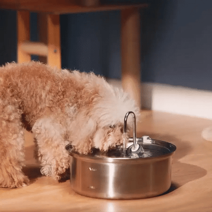 HydraDog™