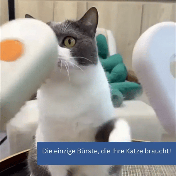 Sanfte und Entspannende Bürste für Katzen