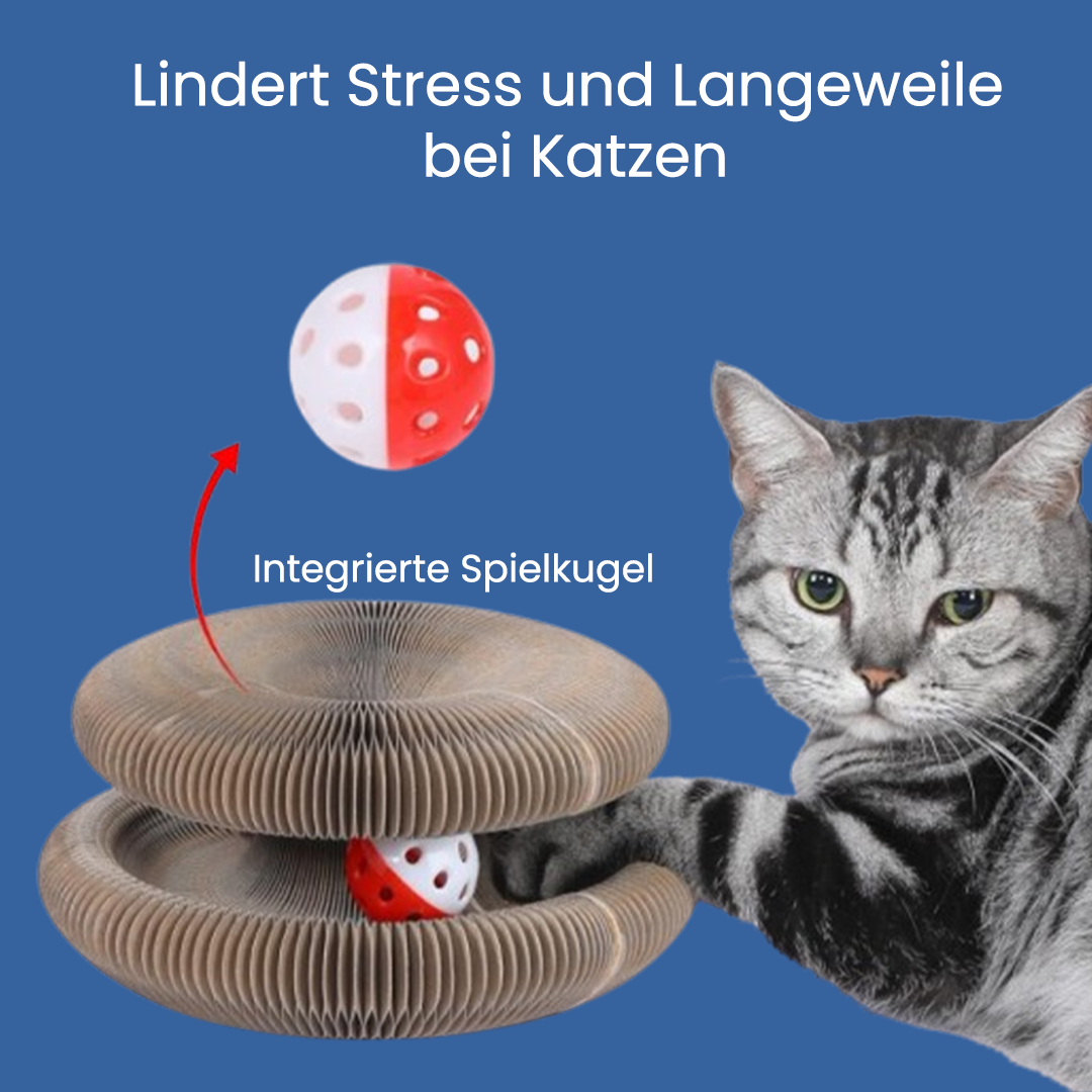 KratzKokon™