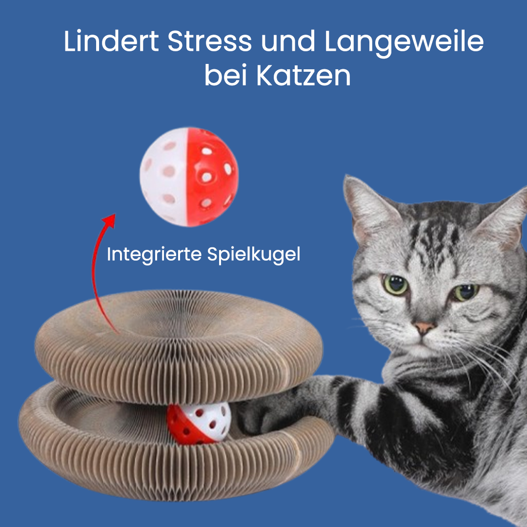 KratzKokon™