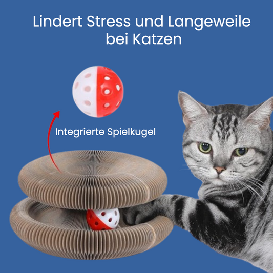 KratzKokon™