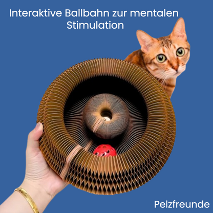 KratzKokon™