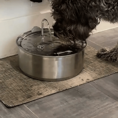 HydraDog™